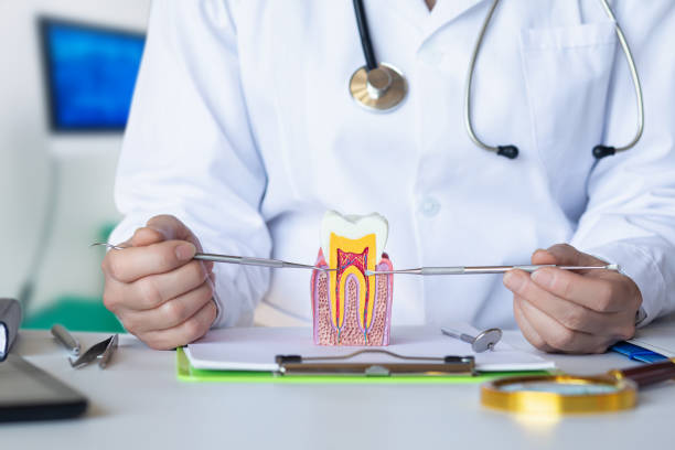 Best Emergency Treatment for Oral Infections in Mount Ida, AR